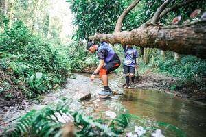 BIB: 
                            <button type="button" onclick="openModal(25517963)" class="btn btn-primary btn-sm float-right btn-popup" data-toggle="modal" data-target=".modal-high-quality">
                        <i class="fas fa-shopping-cart"></i> Add to Cart
                    </button>
                                            <button type="button" onclick="isThisMe(25517963, true)" class="btn btn-success btn-sm float-right btn-popup btn-isme hidden" data-toggle="tooltip" data-placement="bottom" title="นี่คือรูปของคุณใช่ไหม คลิกที่นี่เพื่อเอาเข้าอัลบั้ม">
                        <i class="fas fa-plus"></i> Add to album
                    </button>
                    <button type="button" onclick="isThisMe(25517963, false)" class="btn btn-warning btn-sm float-right btn-popup btn-isnotme hidden">
                        <i class="fas fa-ban"></i> Remove from album
                    </button>